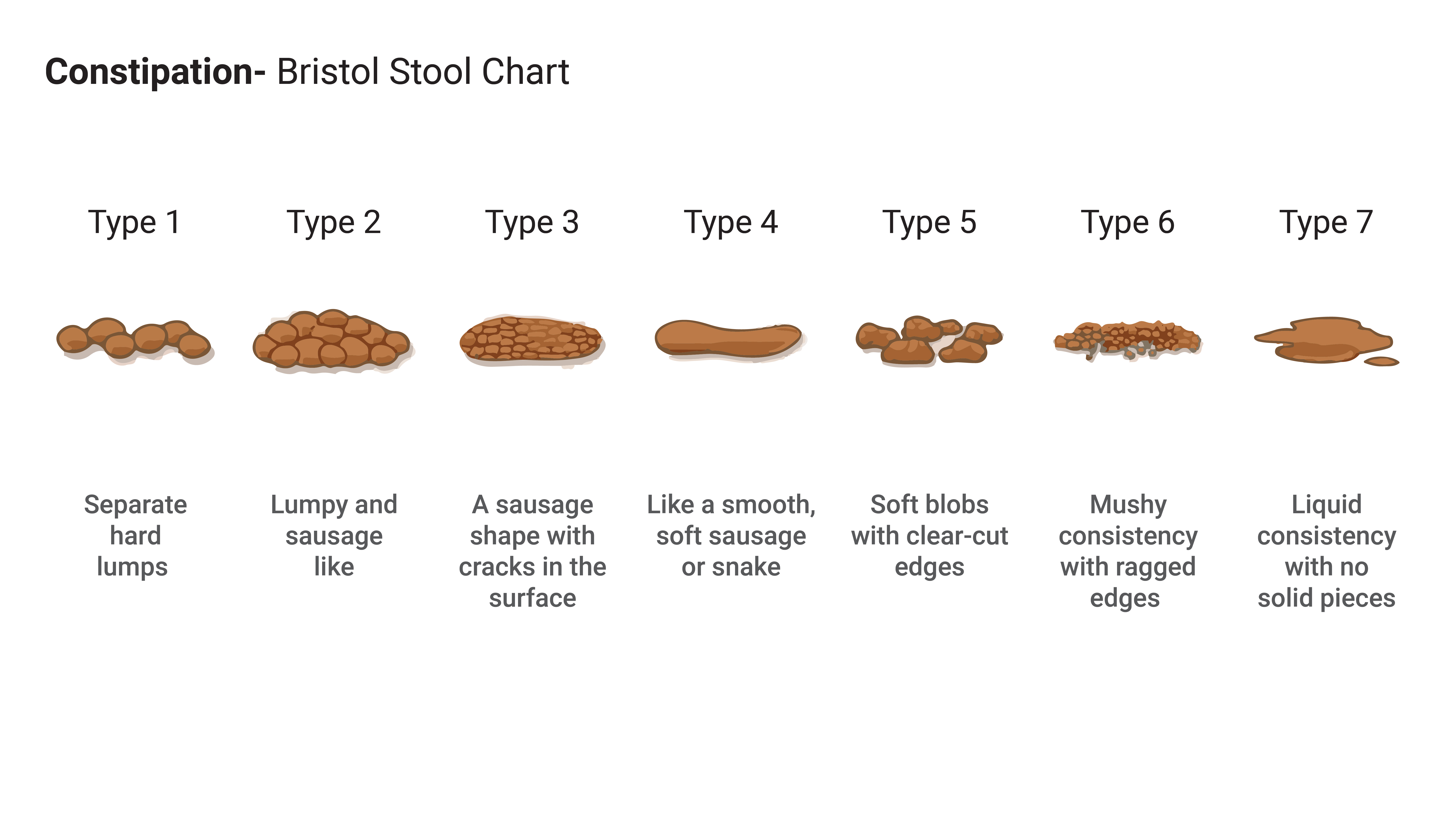 Bristol Poop Scale Type 5